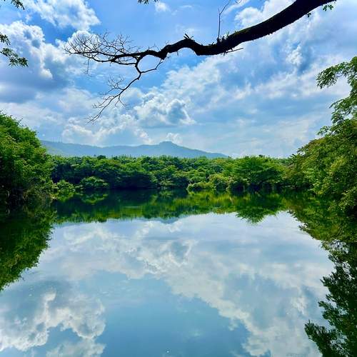 Photo #12540643