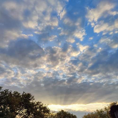 Photo #12540718