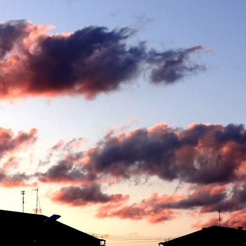 Photo #12540763