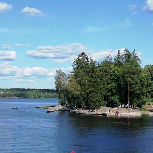 Photo #12540764