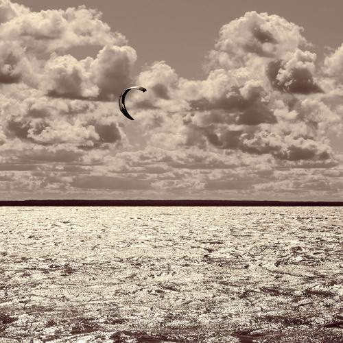 Photo #12540785