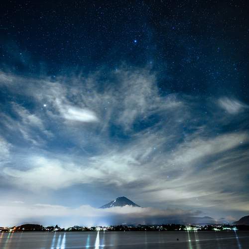 Photo #12540798