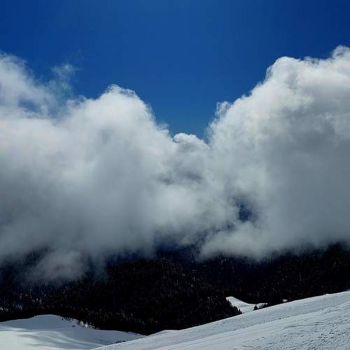 Photo #12540884