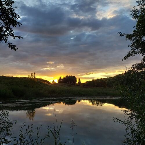 Photo #12540894