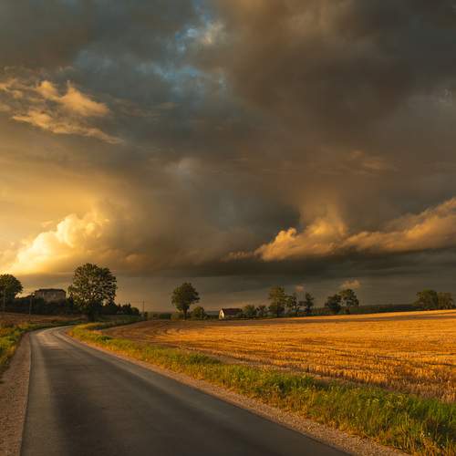 Photo #12540925