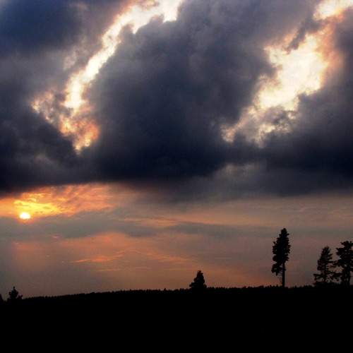 Photo #12541149