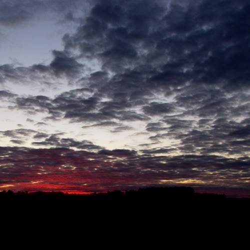 Photo #12541150