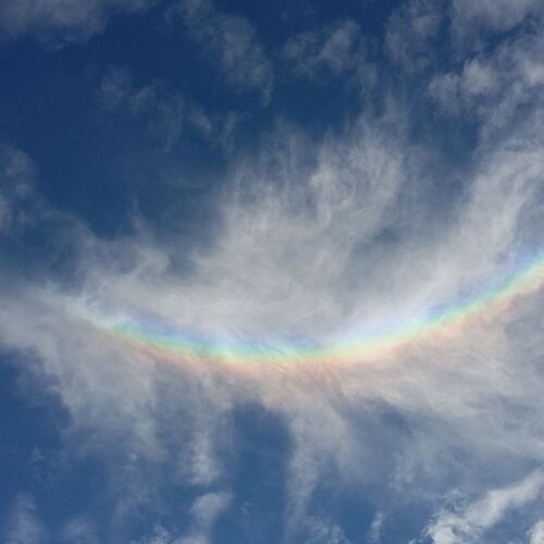 Photo #12541159