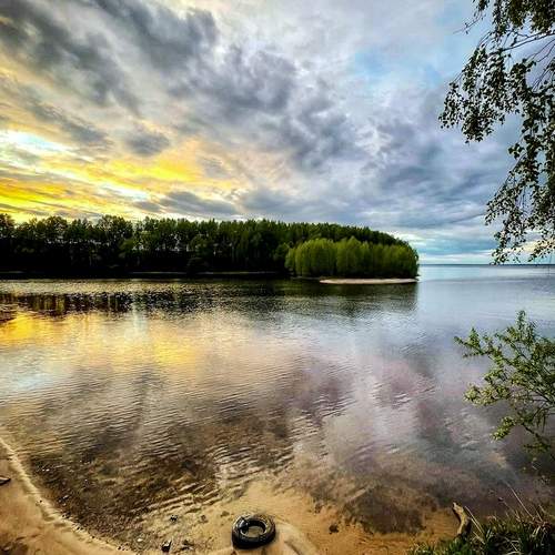 Photo #12541193