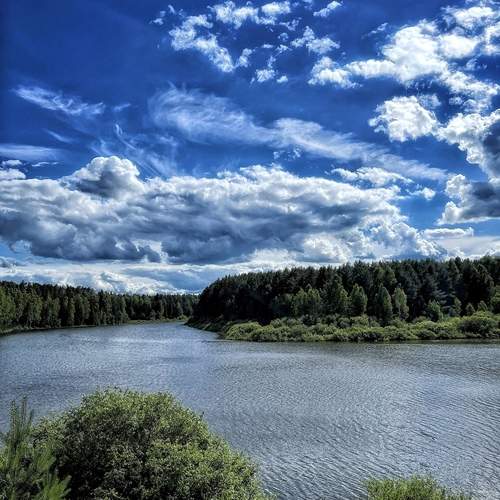 Photo #12541196