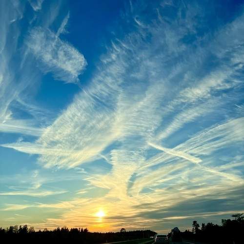 Photo #12541207