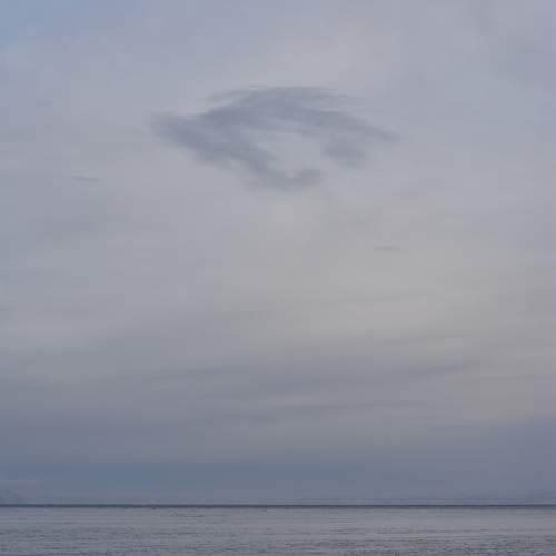 Photo #12541228