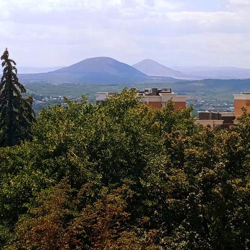 Photo #12541253