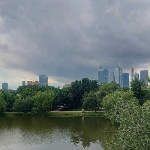 Photo #12541325