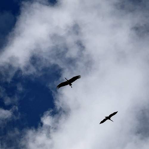 Peaceful sky