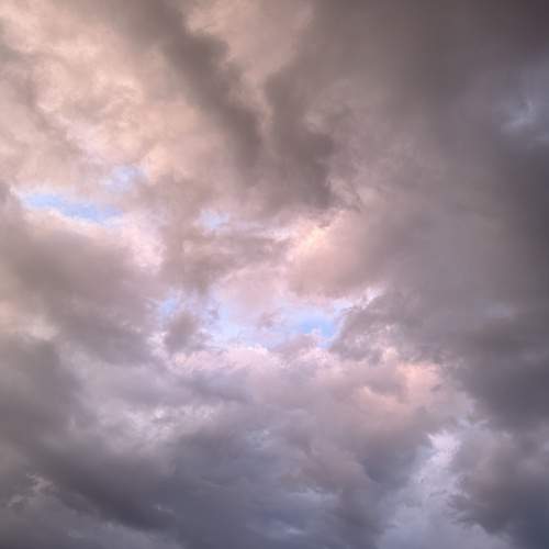 Photo #12541468