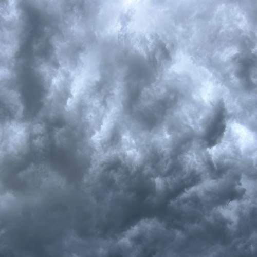 Photo #12541469