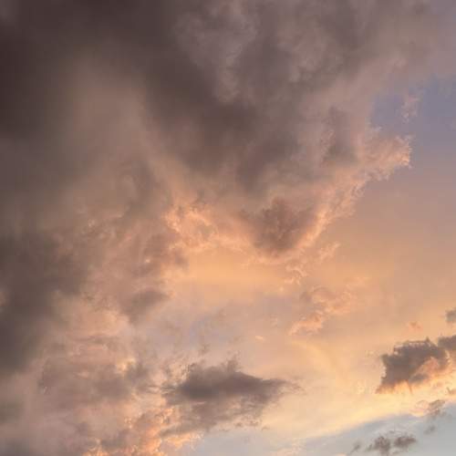 Photo #12541470