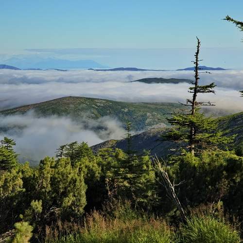 Photo #12541476