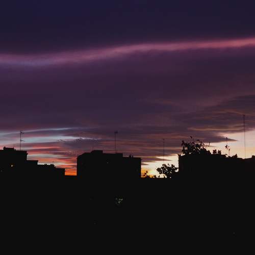 Photo #12541493