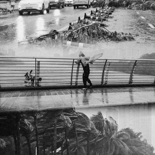 Photo #12541508