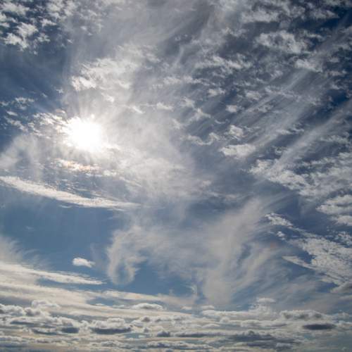 Photo #12541548