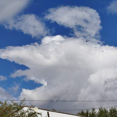 Photo #12541720