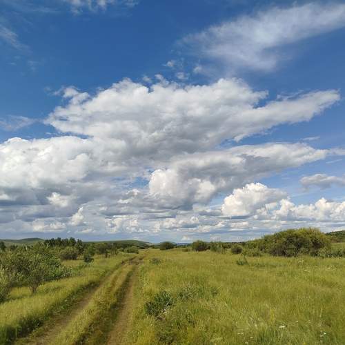 Photo #12541730
