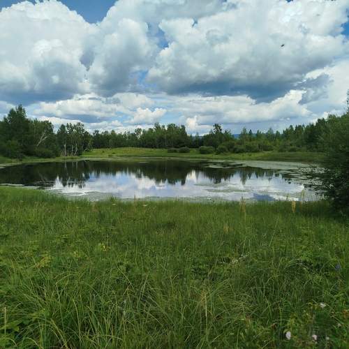 Photo #12541749