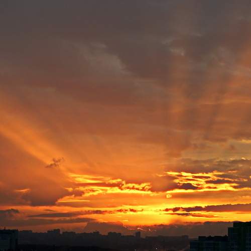 Photo #12541904