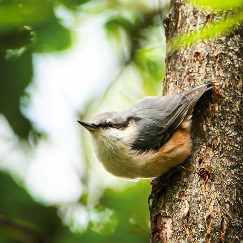 Фотография #12541950