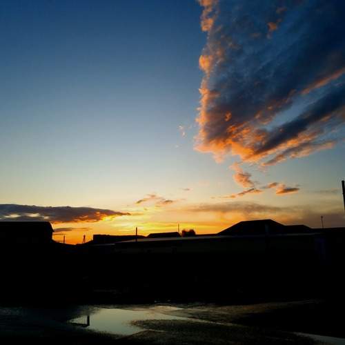 Photo #12542021
