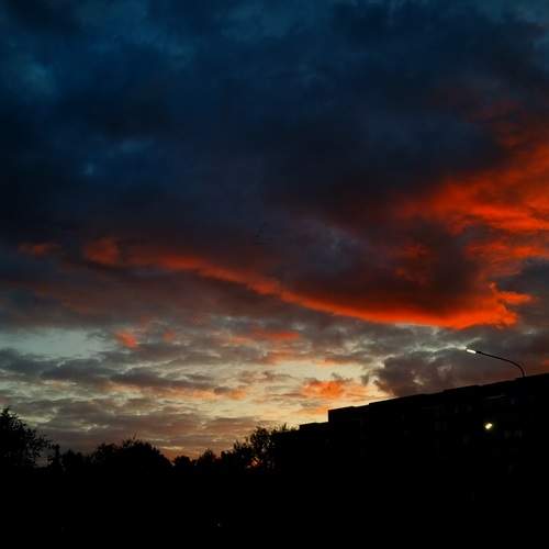Photo #12542023