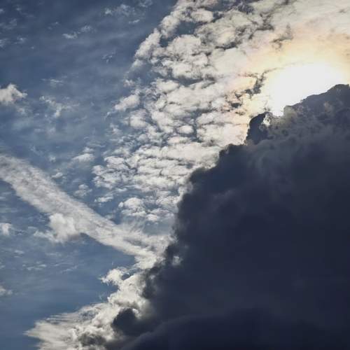 Photo #12542056