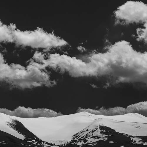 Photo #12542125