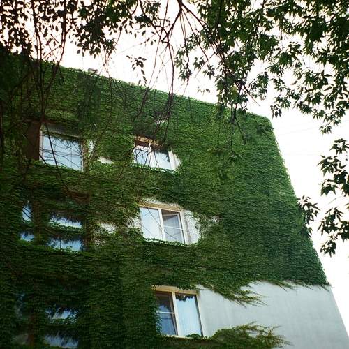 Photo #12542137