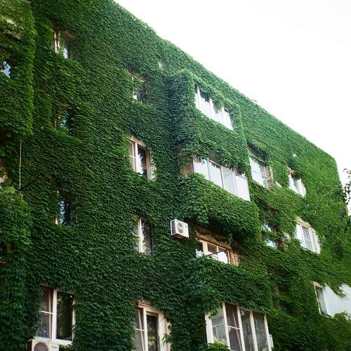 Photo #12542138