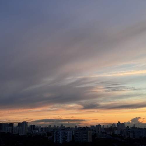 Photo #12542142