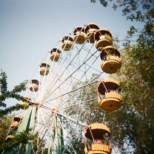 Photo #12542147