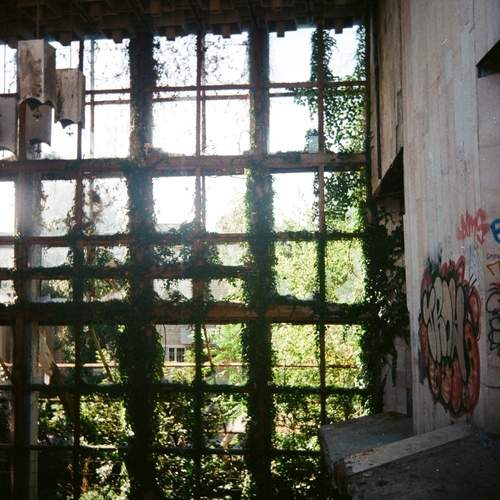 Photo #12542157