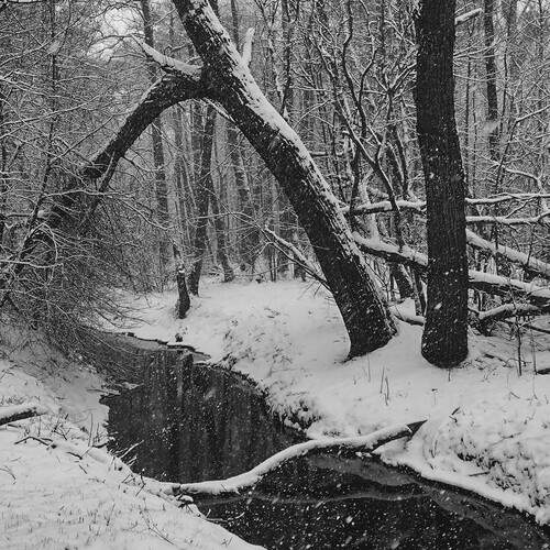 Photo #12542200