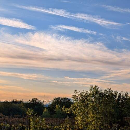 Photo #12542241
