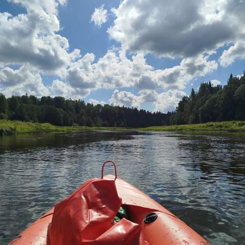 Photo #12542337