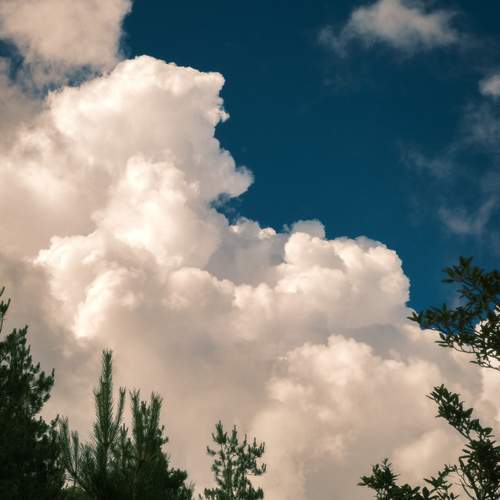 Photo #12542380