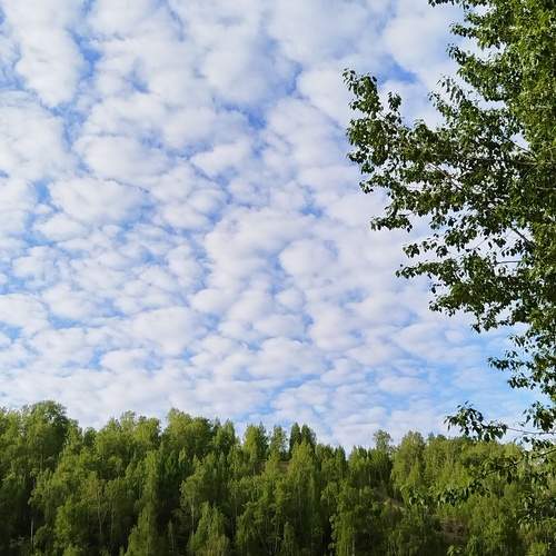 Photo #12542481