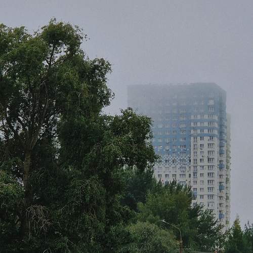 Photo #12542544