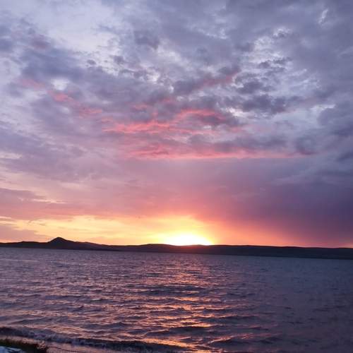 Photo #12542559