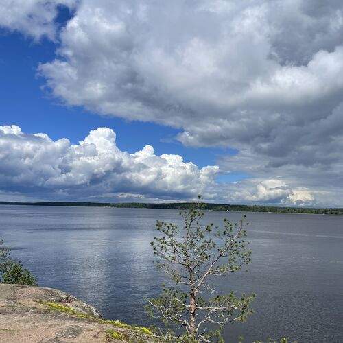 Photo #12542598