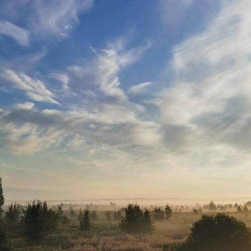Photo #12542779