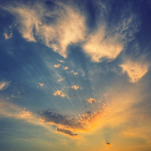 Photo #12542784